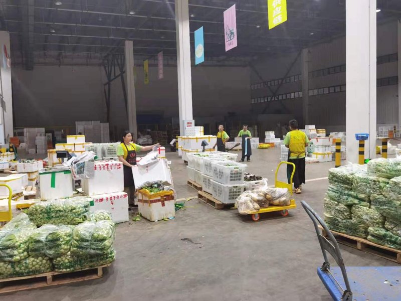 在商业竞争日益激烈的今天，如何选择一家合适的商品批发公司成为许多商家关注的问题。本文将通过对比分析两家知名的商品批发公司，帮助您做出明智的选择。
